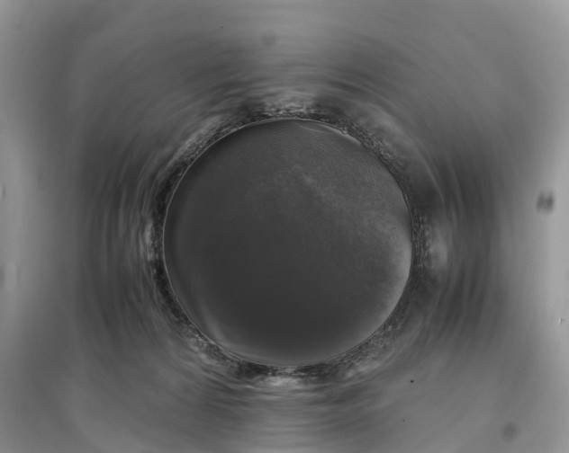 X0000097300224200803071758