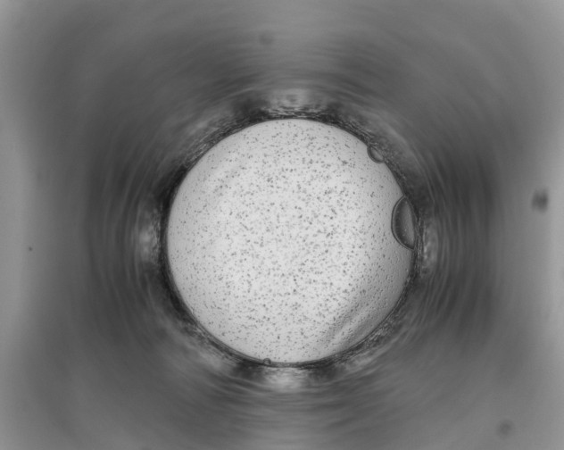 X0000097300226200803071758