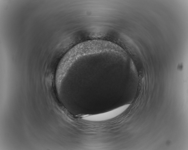 X0000097300227200803071758