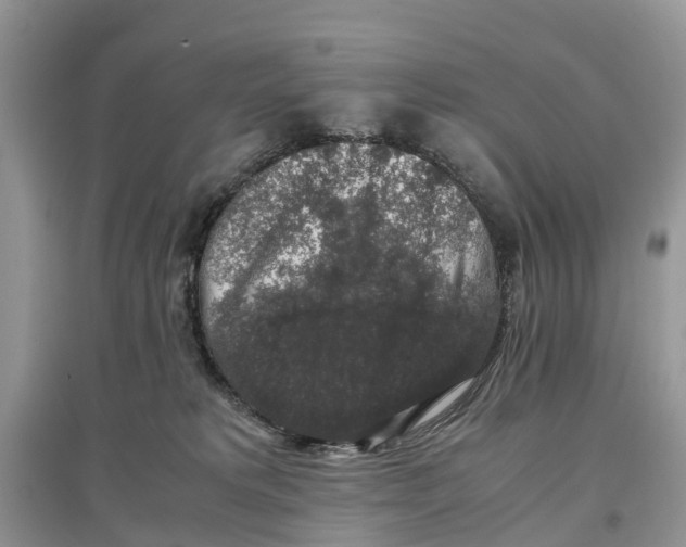 X0000097300229200803071758