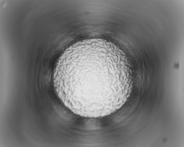 X0000097300230200803071758