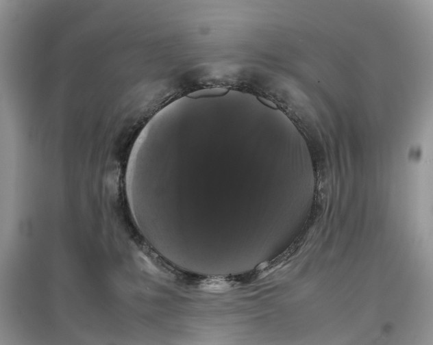 X0000097300231200803071758