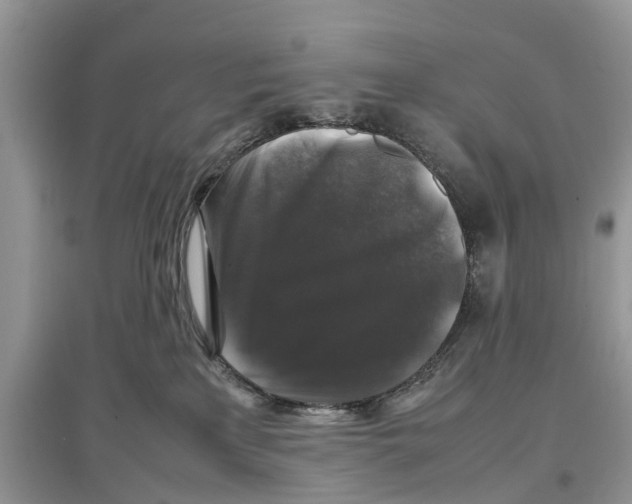 X0000097300233200803071758