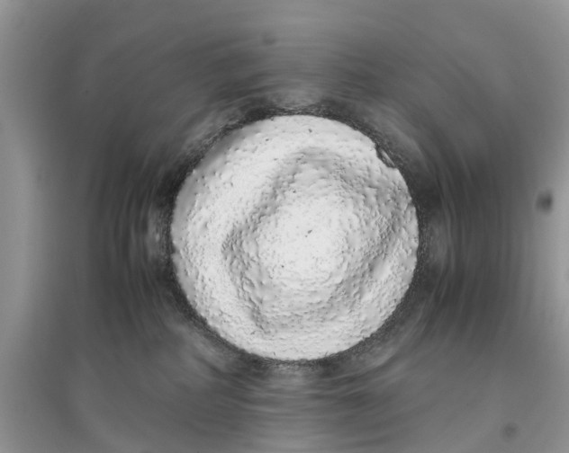 X0000097300234200803071758