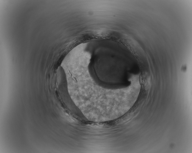 X0000097300235200803071758