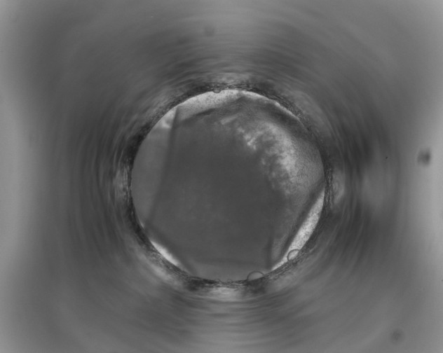 X0000097300236200803071758