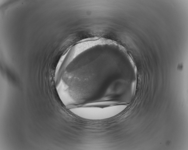 X0000097300237200803071758