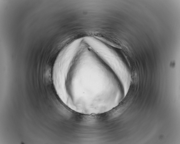 X0000097300238200803071758