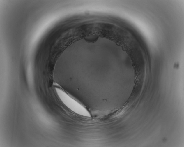 X0000097300239200803071758