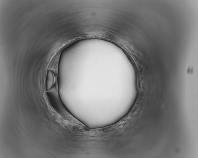 X0000097300241200803071758