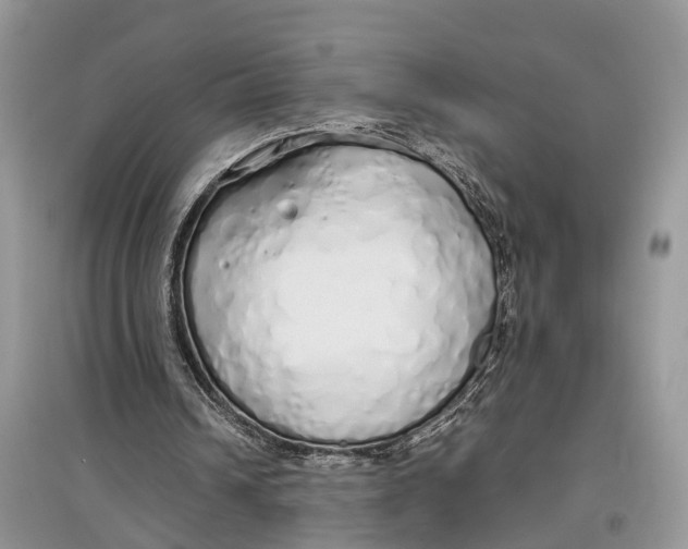 X0000097300242200803071758