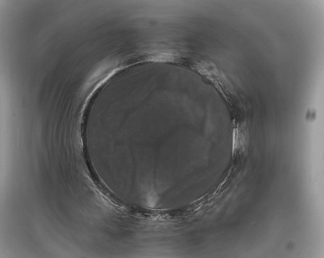 X0000097300243200803071758