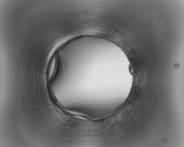 X0000097300244200803071758