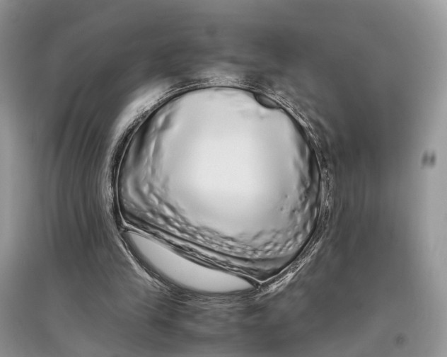 X0000097300245200803071758