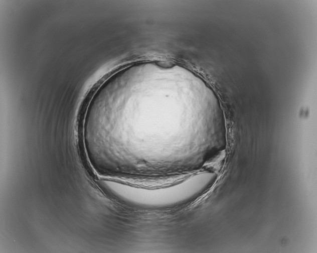 X0000097300246200803071758