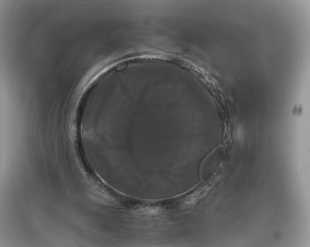 X0000097300247200803071758