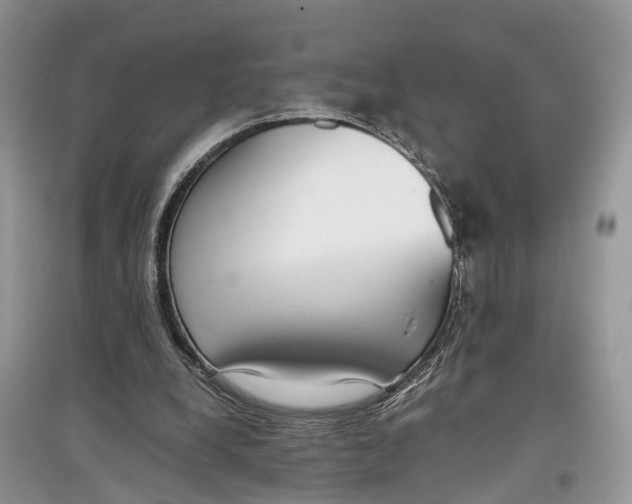 X0000097300248200803071758