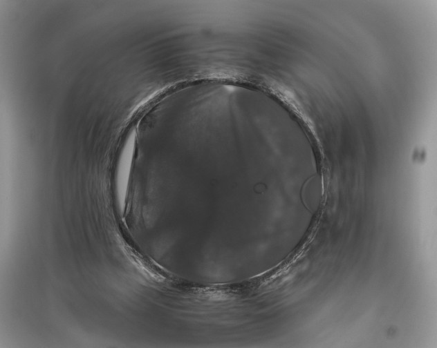 X0000097300249200803071758