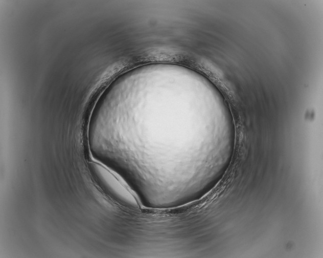 X0000097300250200803071758