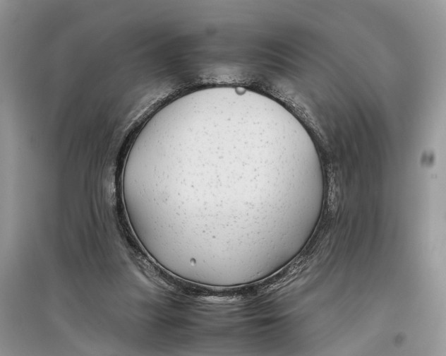 X0000097300251200803071758