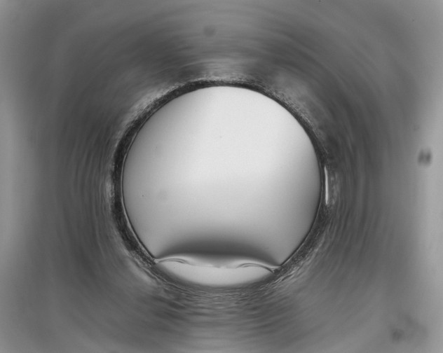 X0000097300252200803071758