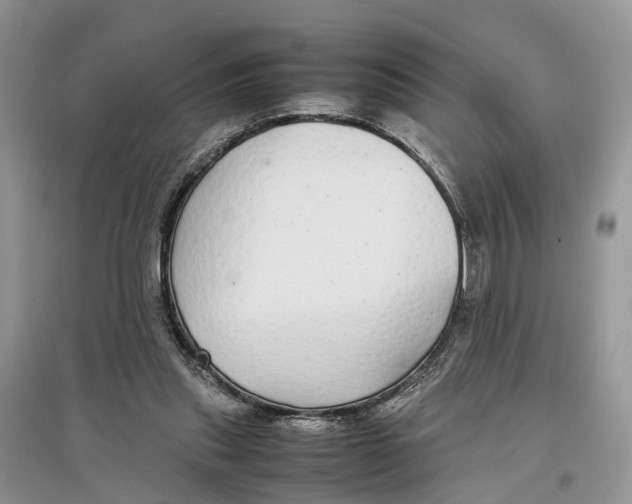 X0000097300253200803071758