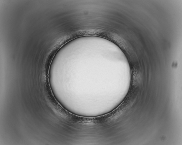 X0000097300254200803071758