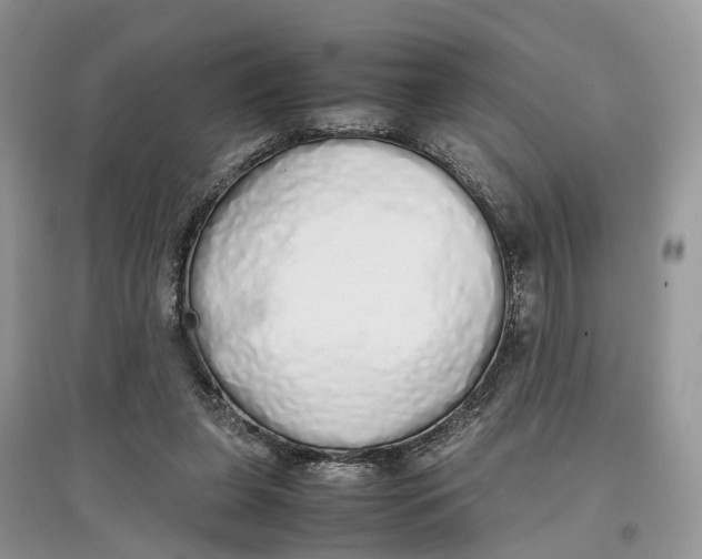 X0000097300255200803071758