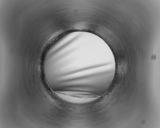 X0000097300256200803071758