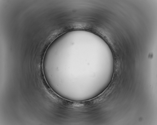 X0000097300257200803071758