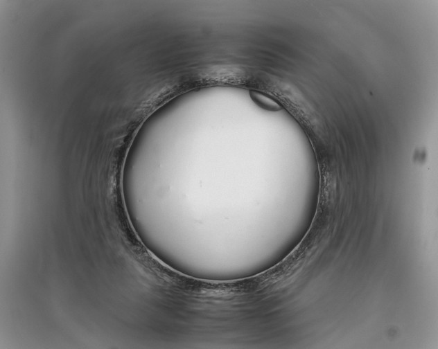 X0000097300259200803071758