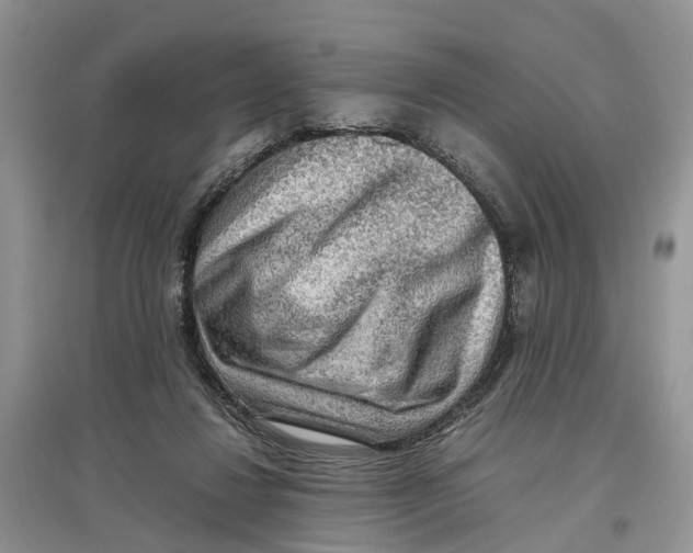 X0000097300260200803071758