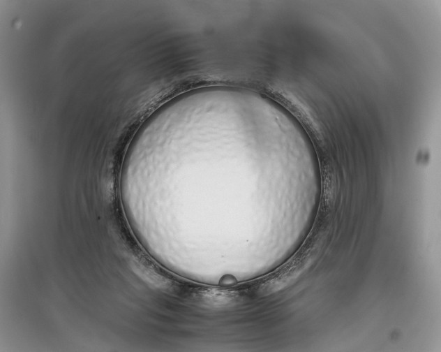 X0000097300261200803071758