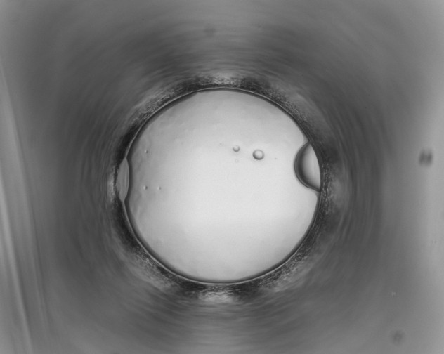 X0000097300262200803071758