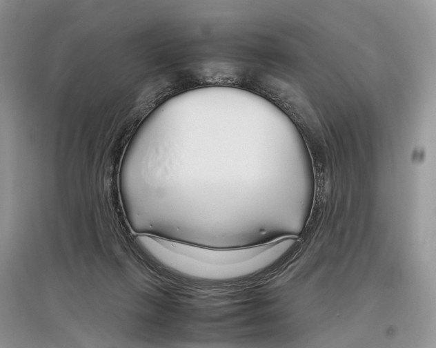 X0000097300263200803071758