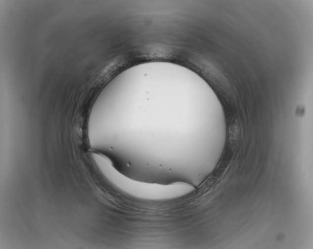 X0000097300264200803071758