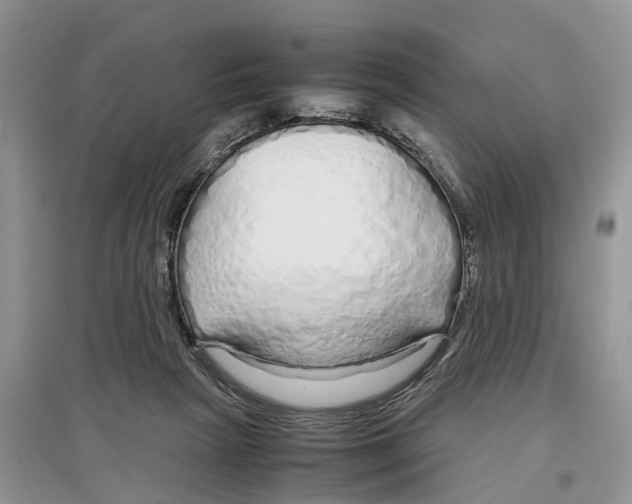 X0000097300265200803071758