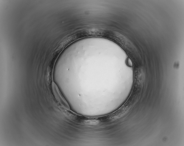 X0000097300266200803071758