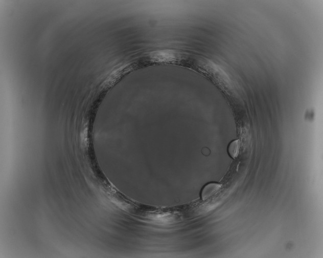 X0000097300267200803071758