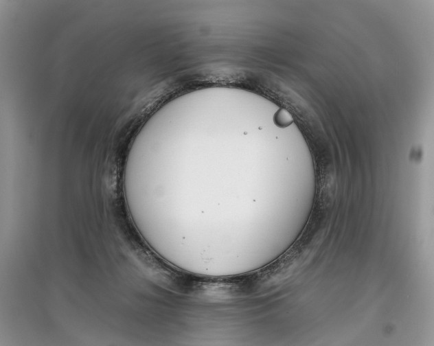 X0000097300268200803071758