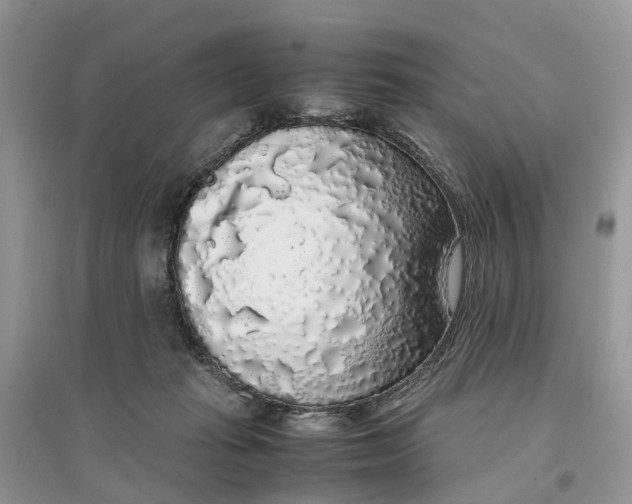 X0000097300269200803071758