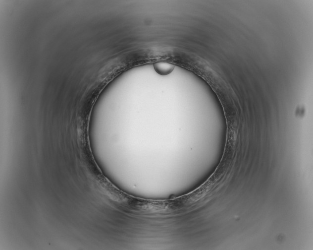 X0000097300270200803071758