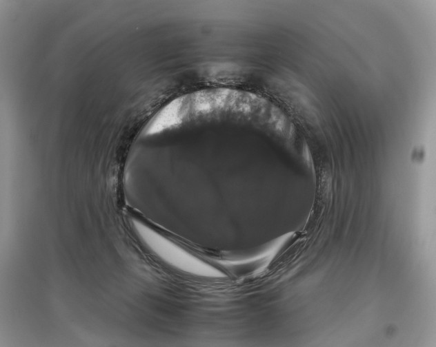 X0000097300271200803071758