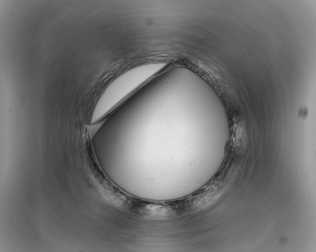 X0000097300272200803071758