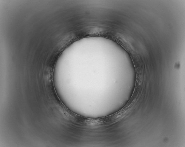 X0000097300273200803071758