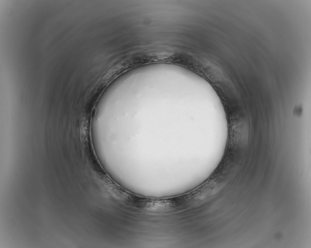 X0000097300274200803071758