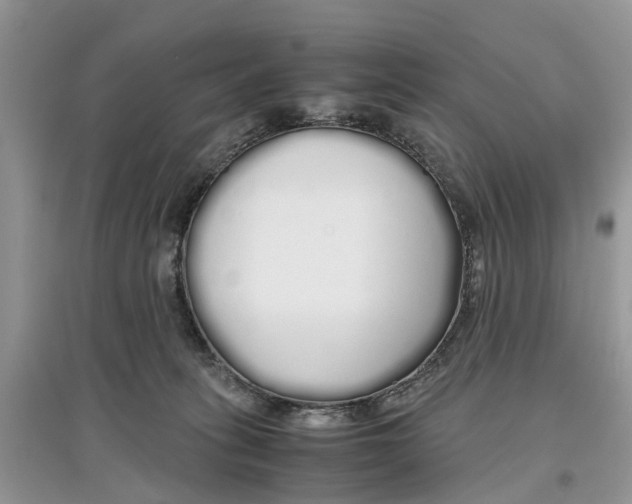 X0000097300275200803071758