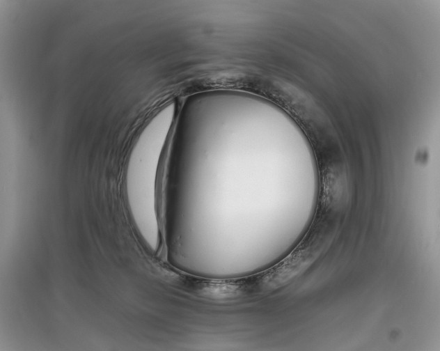 X0000097300278200803071758