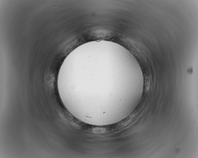 X0000097300279200803071758