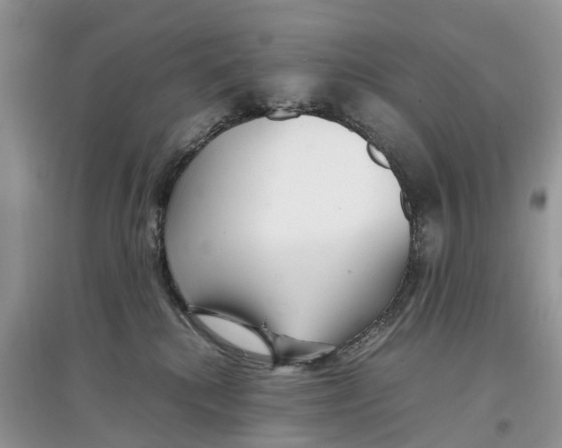 X0000097300280200803071758